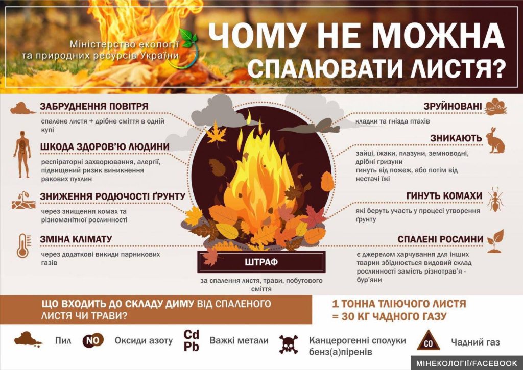 Шкода спалювання листя